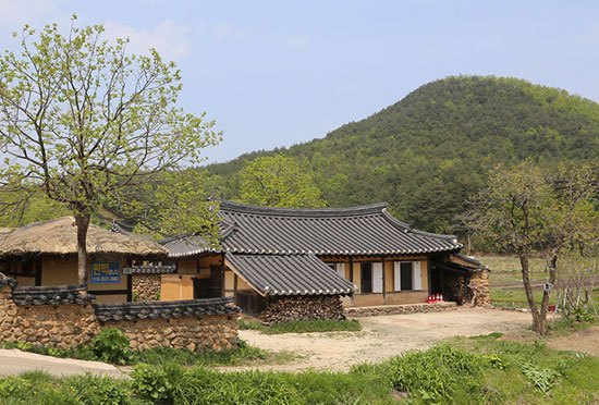 왕곡마을 전통가옥은 강릉 최씨, 강릉 함씨의 집성촌으로 옛 부유층의 가옥인 북방식 ㄱ자형 겹집구조가 그대로 보존된 남한의 유일한 곳으로 학술적 가치가 높아 국가 중요민속자료 제 235호로 지정되어있습니다.
고성왕곡마을은 집집마다 굴뚝위에 항아리를 얹어 놓는 독특한 전통이 있으며 마을엔 우물이 없는데 마을 생긴 모양이 배의 모양이라 우물을 파면 마을이 망한다는 전설 때문이라고 합니다. 이 마을은 소중한 우리네 전통가치를 돌아보게 하는 귀감이 되고 있습니다. 매년 11월 고성왕곡마을 민속 체험 행사가 열립니다.