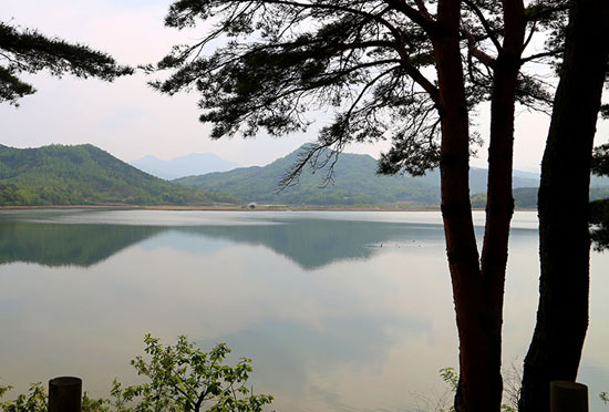 죽왕면 오호리와 오봉산 연변에 위치한 송지호(松池湖)는 둘레가 4km에 약 20만평 넓이의 대자연호수로서 울창한 송림과 함께 물빛이 청명하고 수심이 일정하며 많은 어족들이 서식하기에 적합한 곳으로 겨울철새인 고니의 도래지로도 유명합니다.
아득한 엣날에는 호수가 아닌 바다였다고 하며, 지금도 바다와 물길이 이어져 있어 도미와 전어같은 바다 물고기와 잉어같은 민물고기와 함께 살고 있으며, 특히 주변에는 송호정(松湖亭)이라는 정자가 1997년에 아담하게 재건립되었다.
호수 동쪽에는 철새관망타워가 있으며, 이 곳에서는 망원경으로 호수 전체를 둘러볼 수 있으며, 호수를 따라 한 바퀴 돌아오는 산소길이 조성되어 하이킹 코스로 좋습니다.
최근에는 송지호 둘레길도 조성되어 갈대와 아름다운 능선, 왕곡마을의 정취에 흠뻑 취해 거닐어보기 좋은 코스입니다.