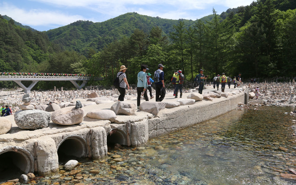 백담사는 신라 제28대 진덕여왕 원년(647년)에 자장율사가 세운 절로 처음에는 한계사라 불렸으나 그 후, 대청봉에서 절까지 웅덩이가 100개 있다고 하여 백담사라 이름 붙여졌습니다. 십여 차례 소실됐다가 6·25전쟁 이후 1957년에 재건되었습니다. 
설악산 자락 품에 아늑하게 들어앉아 있는 백담사의 입구에는 에메랄드빛의 맑고 깨끗한 물을 자랑하는 백담계곡이 흐르고 많은 사람이 자그마한 소망을 담아 쌓아올린 돌탑이 무수히 흩어져 장관을 이룹니다. 백담계곡을 가로지르는 돌다리 수심교를 지나면 그 건너로 고즈넉한 산사의 자태가 펼쳐집니다.